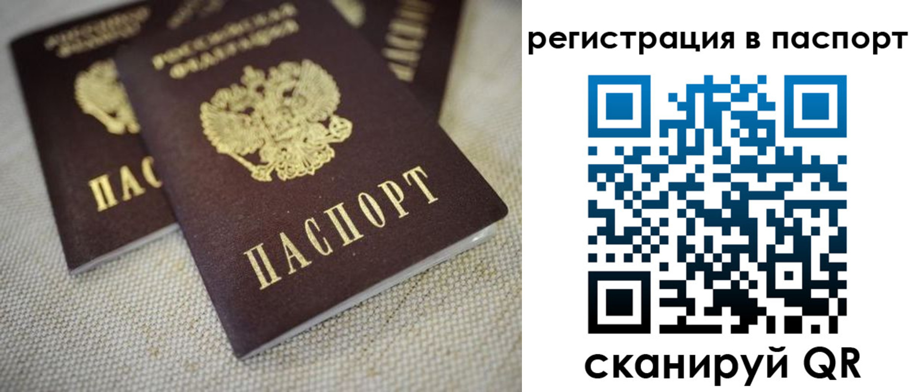 прописка гарантия в Брянске